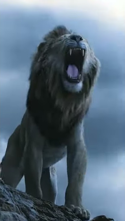 The Lion King Whatsapp Status ! Simba Status #lionking #simba #lion #disney #love #lionroar #4k #hd