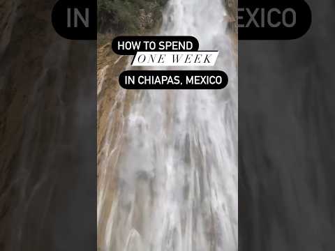 Vídeo: Visió general d'un viatger de Chiapas, Mèxic