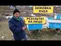 Предварительные итоги зимовки пчел | Что делать со слабыми семьями?