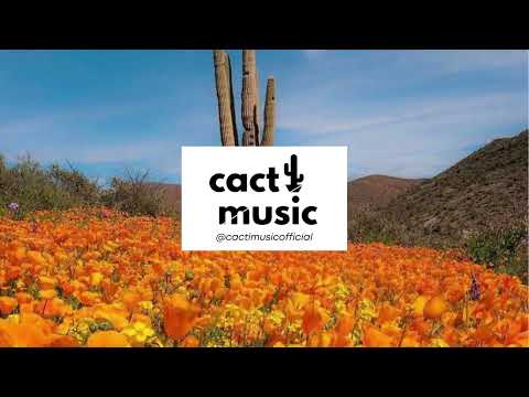 Soul Reductions -