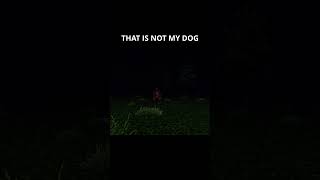 That is Not my dog!!!