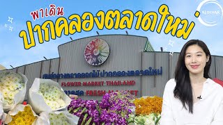 ศูนย์กลางตลาดดอกไม้ ปากคลองตลาดใหม่ ตลาดดอกไม้ สะอาดของถูก | Flower Market Thailand