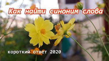 Как найти синоним слова