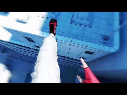 Mirror's Edge (Anti Piracy System)