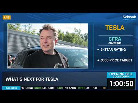 Nelson On TSLA Don T See Any Upside For This Stock