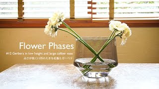 HUE PICTURES [Flower Phases] #12 高さが低く口径の大きな花瓶とガーベラ