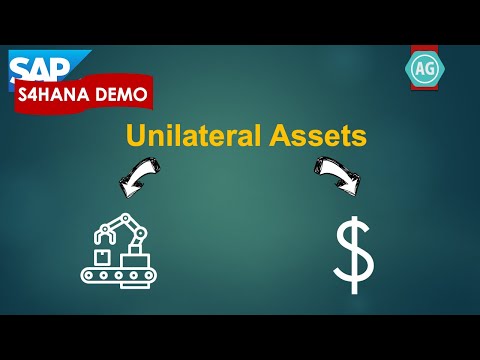 Fixed Assets: Unilateral