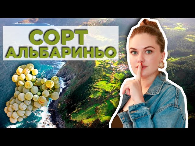 АЛЬБАРИНЬО - ALBARINO  | Лучшее вино Галисии  | Белые испанские вина