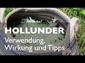 Hollunder - Likör, Sirup, Verwendung, Wirkung und Tipps