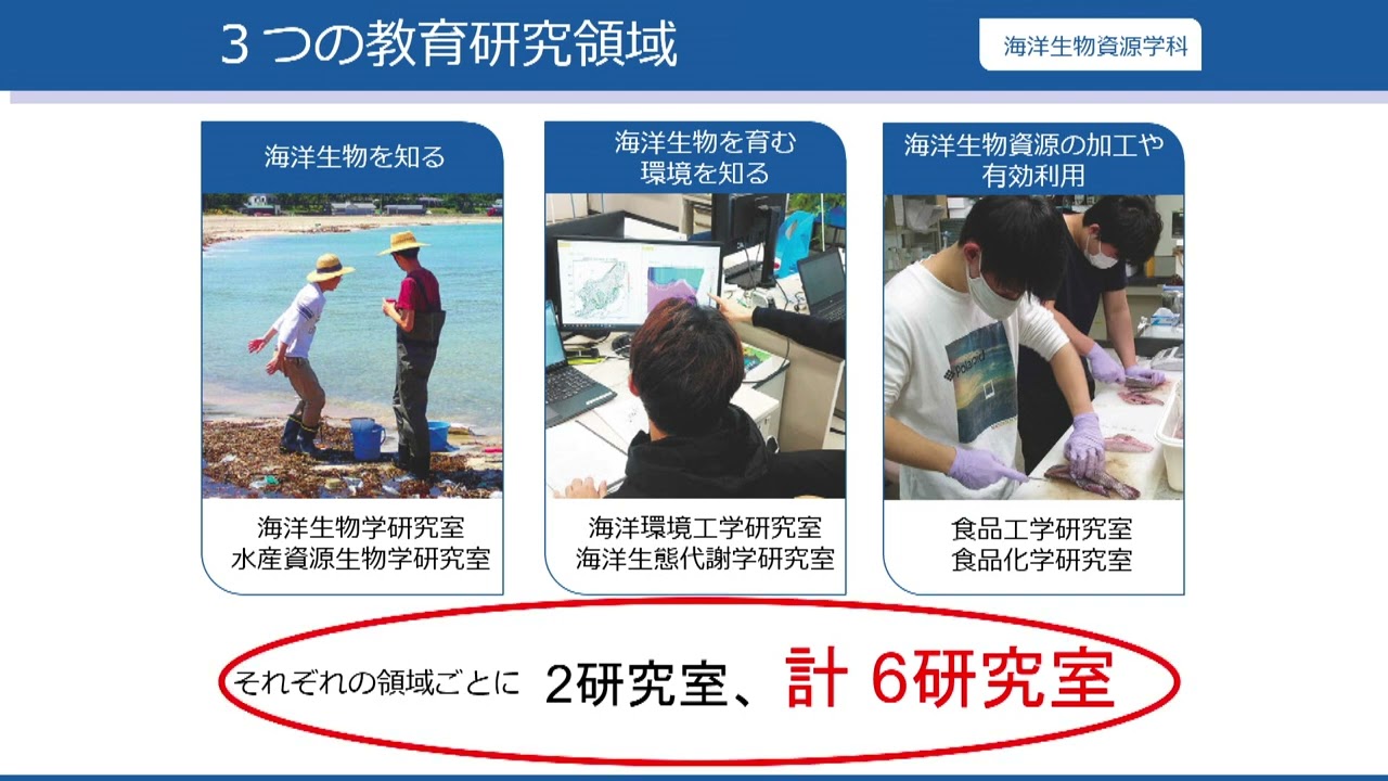 【福井県立大学】海洋生物資源学科 兼田学科長 YouTube