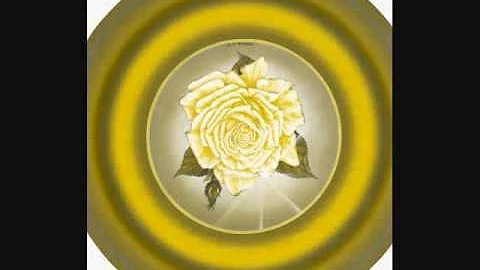 Michael L. Bolivar & Light Force