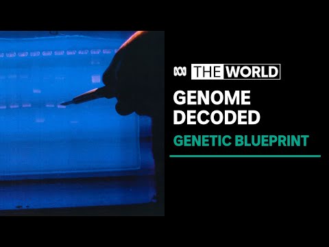 Video: Ako dlho malo podľa predpovedí trvať dekódovanie ľudského genómu?