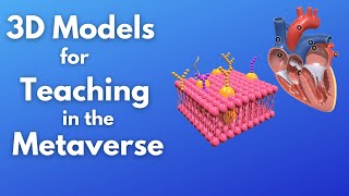 Where to find Models for the Metaverse and Education