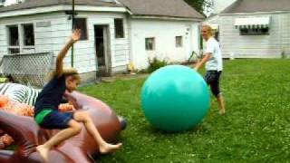 Jets Life Like Horse And Hoppity Hop