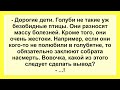 Голуби и Вовочка! Подборка Смешных Позитивных Жизненных Анекдотов для Настроения!