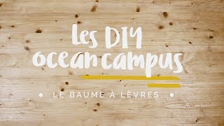 Les DIY Ocean Campus - Comment faire son baume à lèvres maison ? - Surfrider Foundation Europe