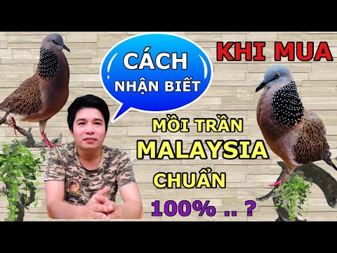 Video: Cách Phân Biệt đầu đồng