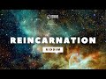 ►FREE◄ Reggae Instrumental Beat 2024 | REINCARNATION Riddim