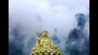 Buddha nice song mp4