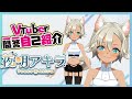 【自己紹介】Vtuber一問一答自己紹介【夜明アキラ/新人Vtuber】