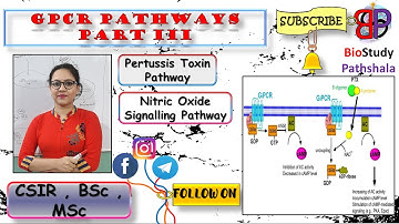 PERTUSSIS TOXIN AND NITRIC OXIDE SIGNALLING PATHWAY || Cell Communication || Life Sciences