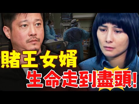 悲痛！「賭王女婿」陳子聰多血管破裂，已昏迷超過20天！何超盈砸千萬也無力挽救，已著手準備後事！#港圈日報