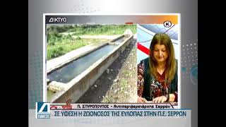 Π. Σπυρόπουλος: "Σε ύφεση η ευλογιά στην Π.Ε. Σερρών"