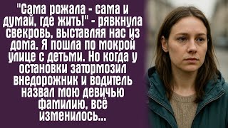 видео: ''Сама рожала — сама и думай, где жить!'' — рявкнула свекровь, выставляя нас из дома. Я пошла по.... картинка: ''Сама рожала — сама и думай, где жить!'' — рявкнула свекровь, выставляя нас из дома. Я пошла по....