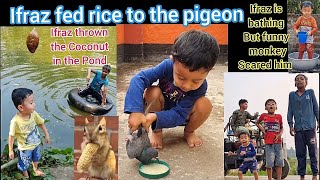 Ifraz fed rice to the Pigeon| Ifraz thrown the Coconut in the Pond| funny monkey Scared him #funny