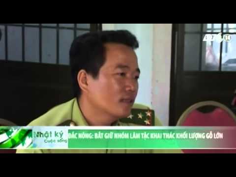 Video: Khai Thác Khối Lượng