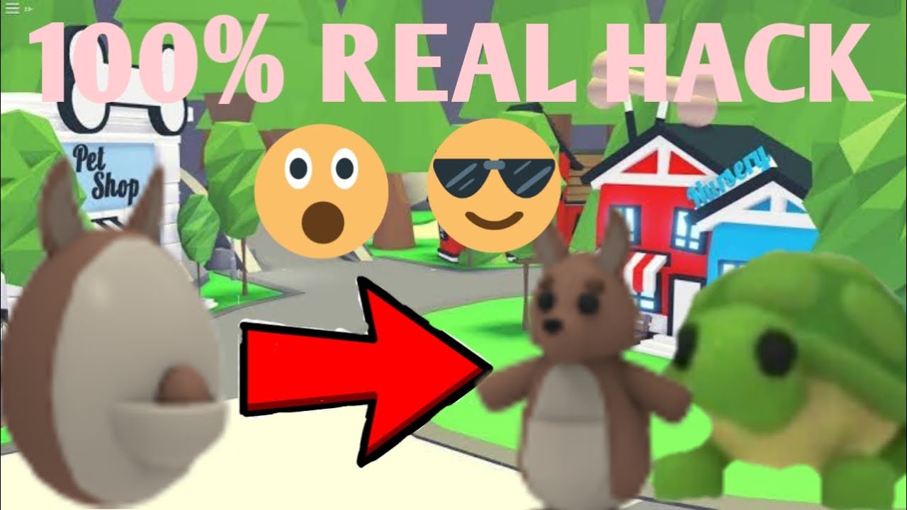 How To Hatch LEGENDARY PET From AUSSIE EGG Adopt Me! (Roblox) YouTube