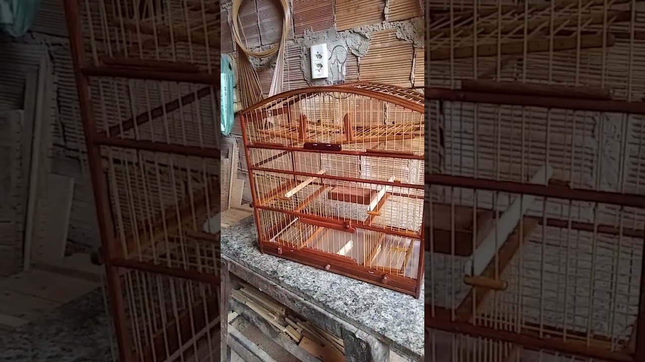 gaiola pegadeira de 4 alçapão ton da cor escura da cor do mato ZAP 85 99229_1699