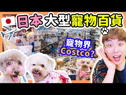 【日本大型pet friendly百貨】寵物界「Costco」🐶🤑忍不住要瘋狂買！特色零食逐一開箱試食😋Muffin Brownie有口福了😍(中文CC字幕)