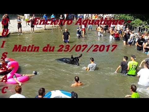 23.07 23.07