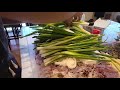 Ep.4. Vegas Life.  Cebu Lechon Belly. A basic step by step instructional video on how to cook lechon