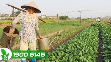 Giúp nông dân dễ dàng tiếp cận với nguồn vốn | VTC16