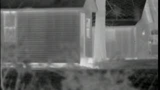 MPEG0001