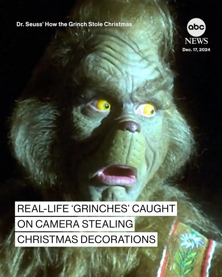 Real-life ‘Grinches’ caught on camera stealing Christmas decorations