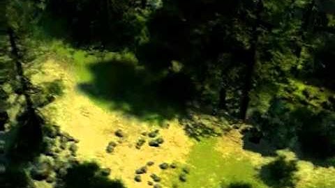 Divine Divinity - Introduction movie