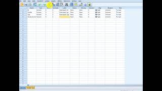 Enter data and define variables in SPSS in Kurdish