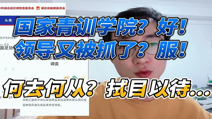 创建国家青训学院？好！足协又有人被抓了？服了...何去何从，拭目以待 - 天天要闻