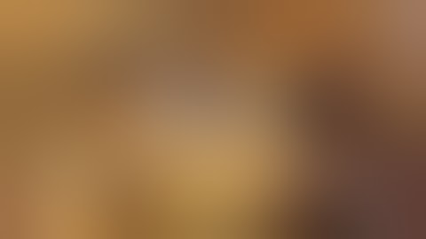 Project Warlock - Launch Trailer | PS4/Switch/Xbox One