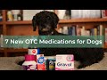 7 New OTC Medications for Dogs