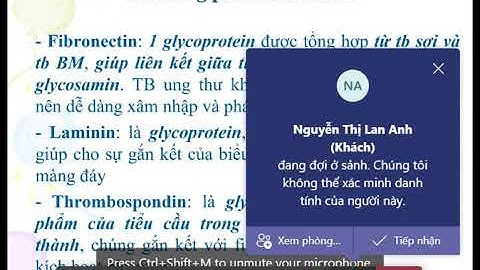 So sánh biểu mô và mô liên kết năm 2024