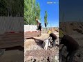 驚異の技術！機械を使わずに巨大なスラブを移動させる専門家の技をご覧ください：精密な手作業による重いコンクリートスラブの荷下ろし技術