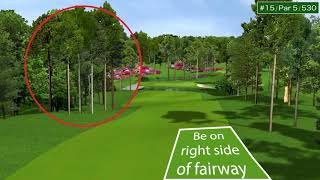 Strategy: Hole #15 At Augusta National