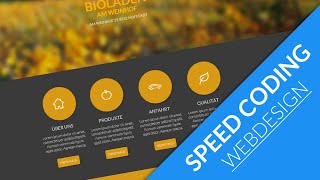 Speed Art/ Coding | Fruit Website | HosonoDesign