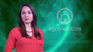 AGRONOTICIAS sie7e PROGRAMA 86