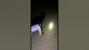 اطرح الجربوع 