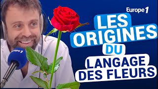 Les origines du langage des fleurs avec David Castello-Lopes